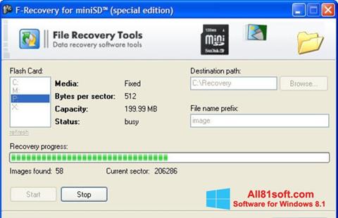 Screenshot F-Recovery SD para Windows 8.1