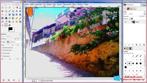 Screenshot GIMP para Windows 8.1