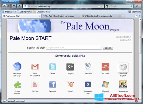 Screenshot Pale Moon para Windows 8.1