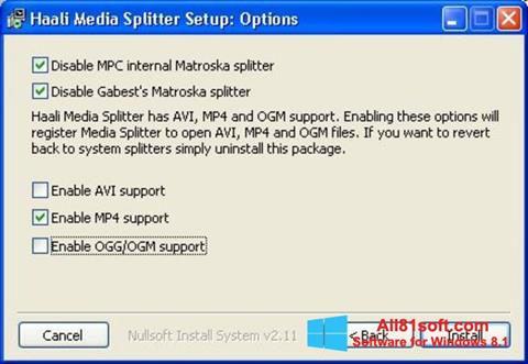 Screenshot Haali Media Splitter para Windows 8.1