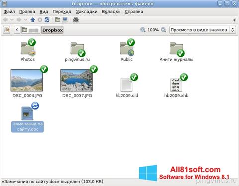 Screenshot Dropbox para Windows 8.1