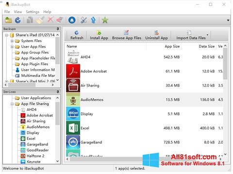 Screenshot iBackupBot para Windows 8.1