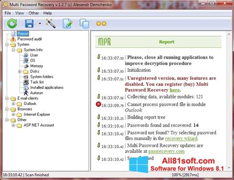 Screenshot Multi Password Recovery para Windows 8.1