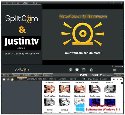 Screenshot SplitCam para Windows 8.1
