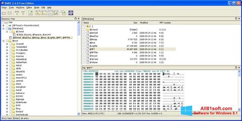 Screenshot DMDE para Windows 8.1