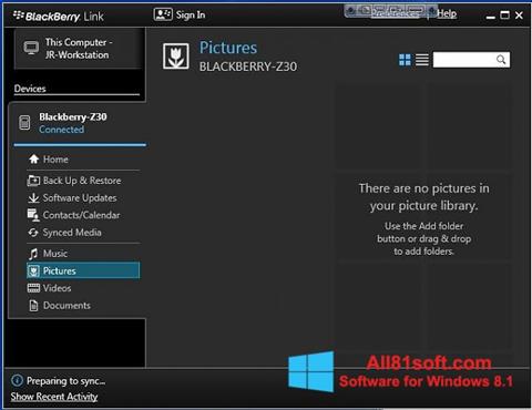 Screenshot BlackBerry Link para Windows 8.1