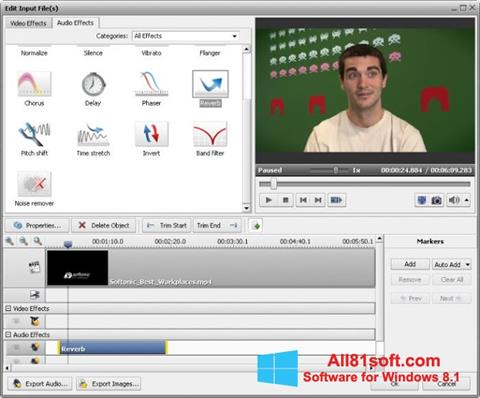 Screenshot AVS Video Converter para Windows 8.1