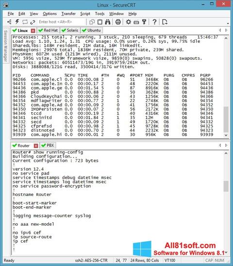 Screenshot SecureCRT para Windows 8.1