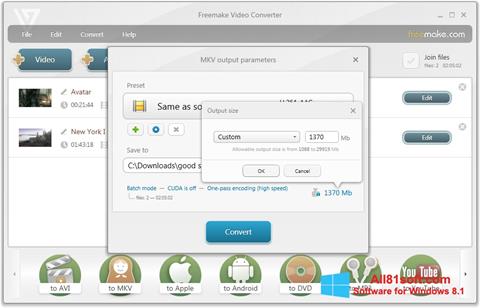 Screenshot Freemake Video Converter para Windows 8.1