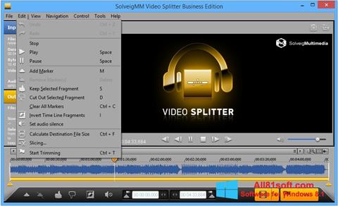 Screenshot SolveigMM Video Splitter para Windows 8.1