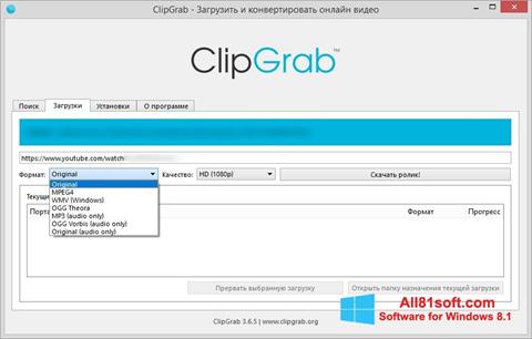Screenshot ClipGrab para Windows 8.1