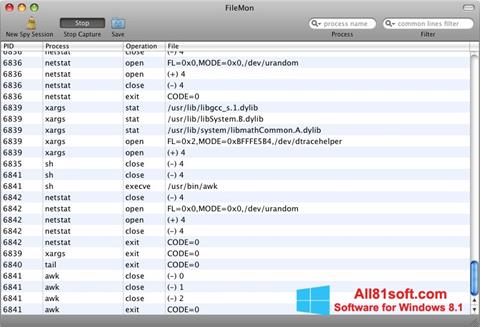 Screenshot FileMon para Windows 8.1