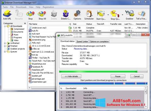 Screenshot Internet Download Manager para Windows 8.1