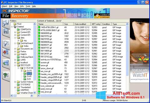Screenshot PC Inspector File Recovery para Windows 8.1