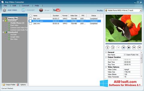 Screenshot Any Video Converter para Windows 8.1