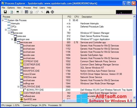 Screenshot Process Explorer para Windows 8.1