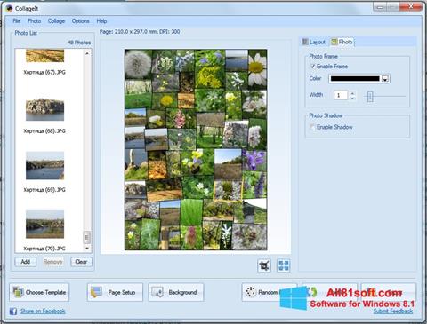 Screenshot CollageIt para Windows 8.1