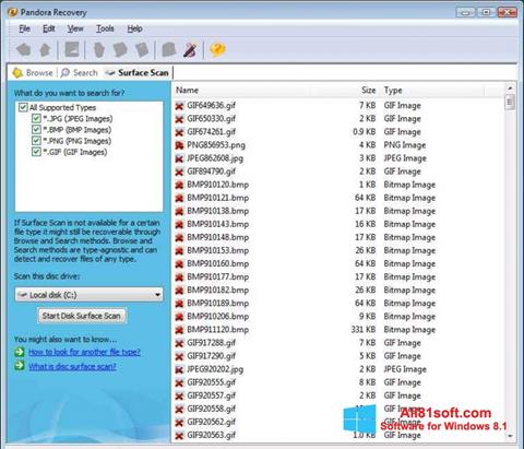 Screenshot Pandora Recovery para Windows 8.1