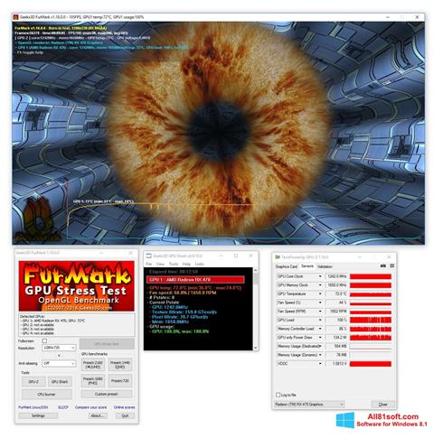 Screenshot FurMark para Windows 8.1
