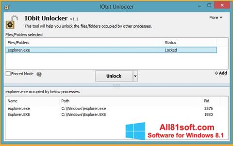 Screenshot IObit Unlocker para Windows 8.1