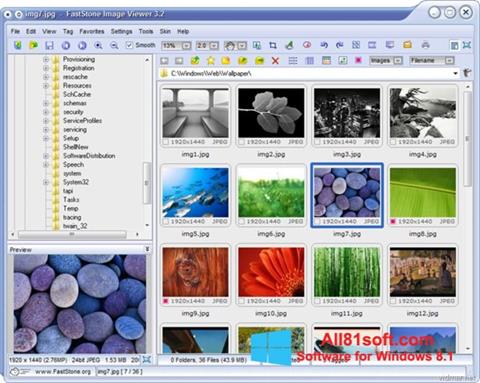 Screenshot FastStone Image Viewer para Windows 8.1