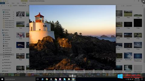 Screenshot Picasa Photo Viewer para Windows 8.1