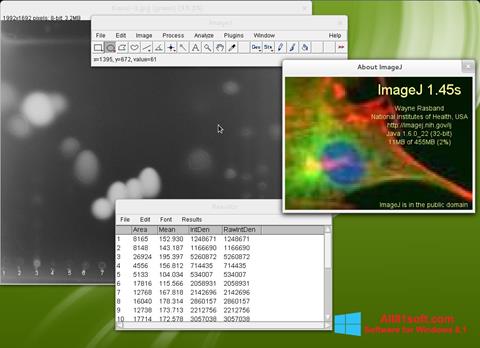 Screenshot ImageJ para Windows 8.1
