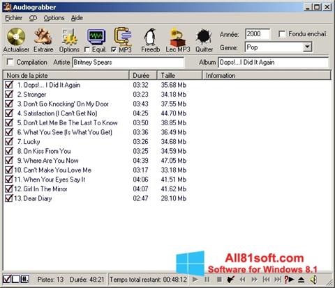Screenshot Audiograbber para Windows 8.1