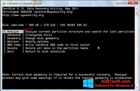 Screenshot TestDisk para Windows 8.1
