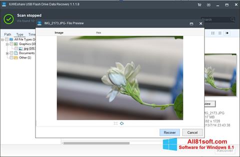 Screenshot USB Flash Drive Recovery para Windows 8.1