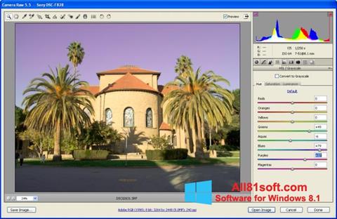 Screenshot Adobe Camera Raw para Windows 8.1