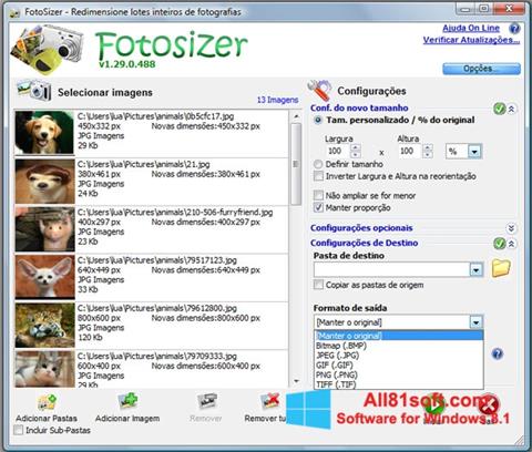 Screenshot Fotosizer para Windows 8.1